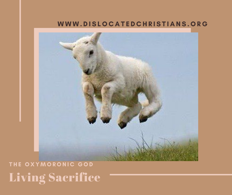 Leaping lamb in the air Christ as living sacrifice Oxymoronic God series