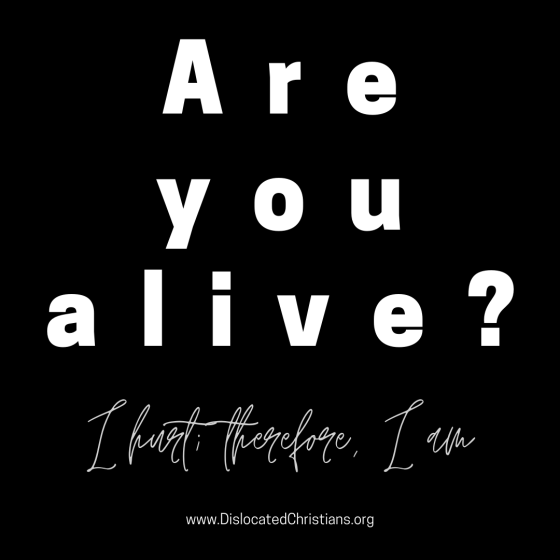 Are you alive? I hurt, therefore I am text on black background