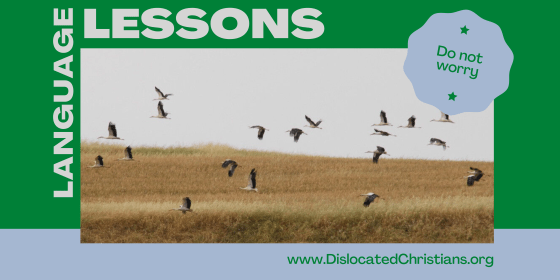 language lessons, birds of the air, do not worry, luke 12