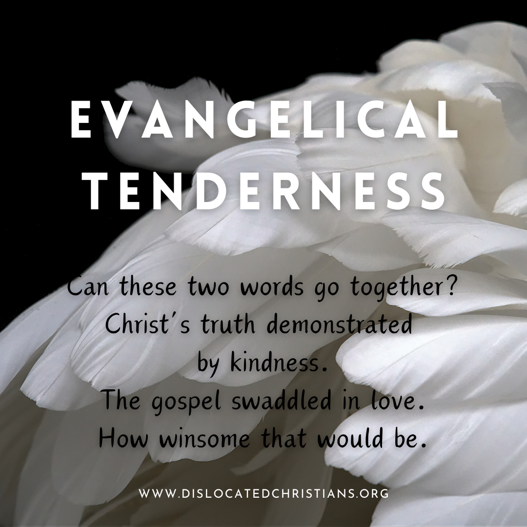 White feathers on a black background